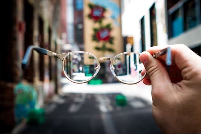 optica el raal